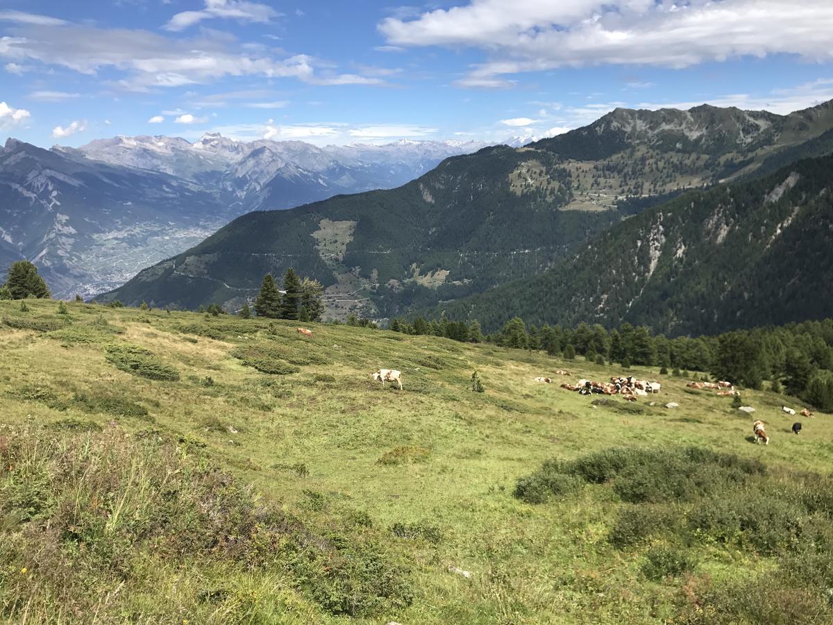 Chalet Clochette 4 Valles-Verbier La Tzoumaz Bagian luar foto